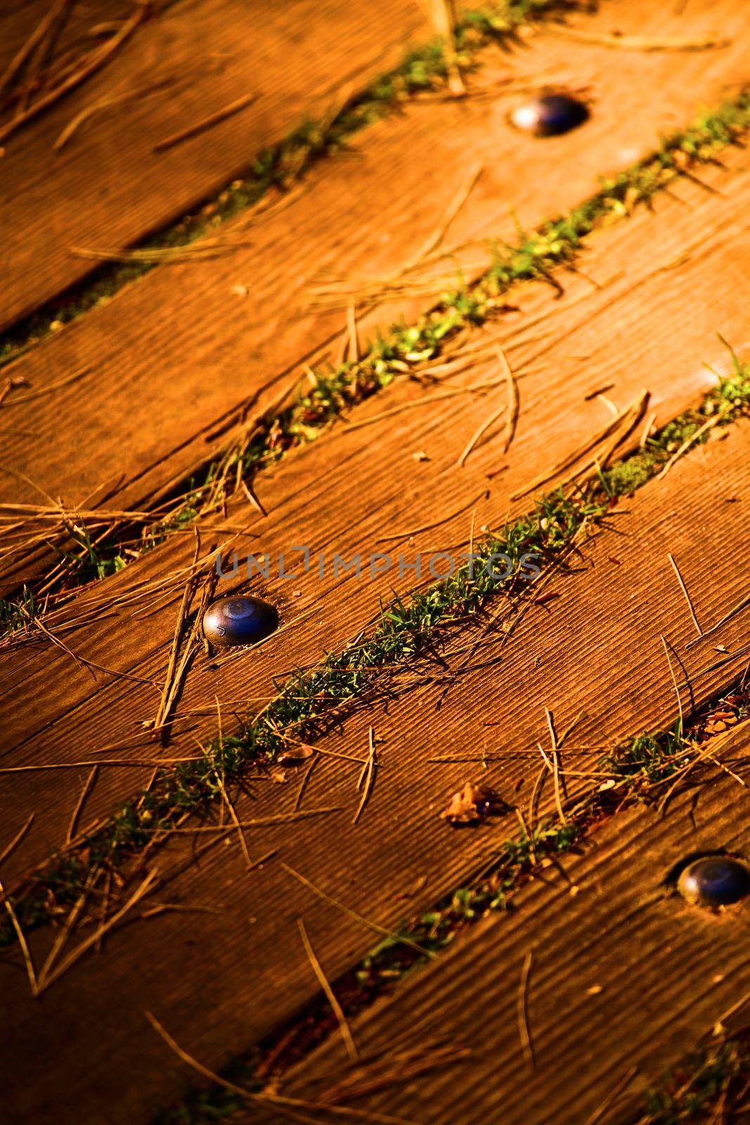 Image of Wood planks with studs and grass growing through the cracks and pine needles on top