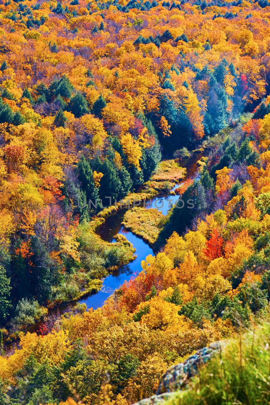 Image of Winding river withing a forest during fall