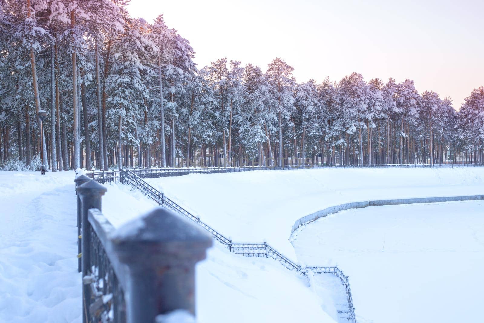 snowy winter forest by the river at sunset