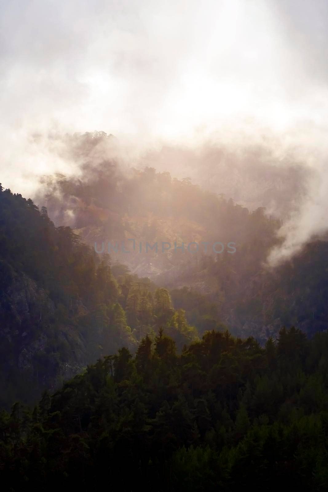 Mountain slopes with dense forest and fog, clouds through which the first rays of the sun pass. Seasonal weather in the spring mountains, the view from the top down.