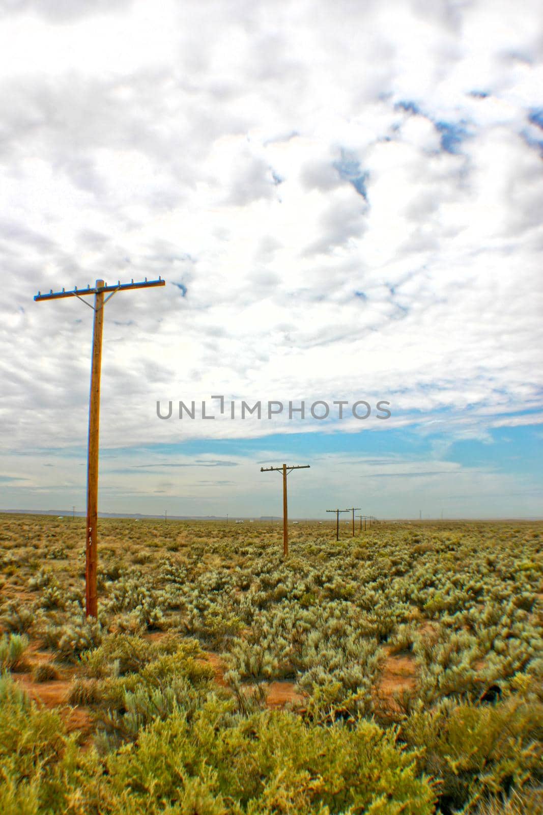 Image of Depth shot of telephone poles and lines stretching into the distance along a landscape of green scrub brush