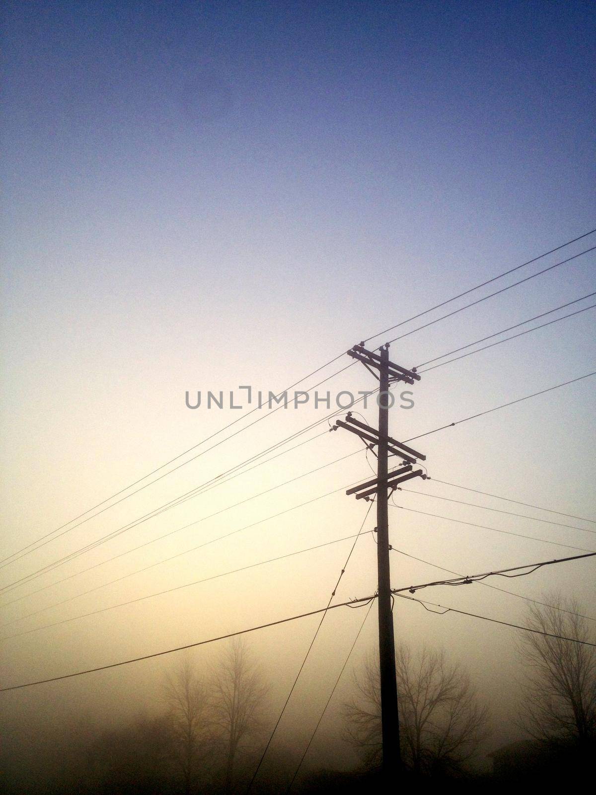 Image of Hazy telephone pole with leafless trees and a grayish blue sky