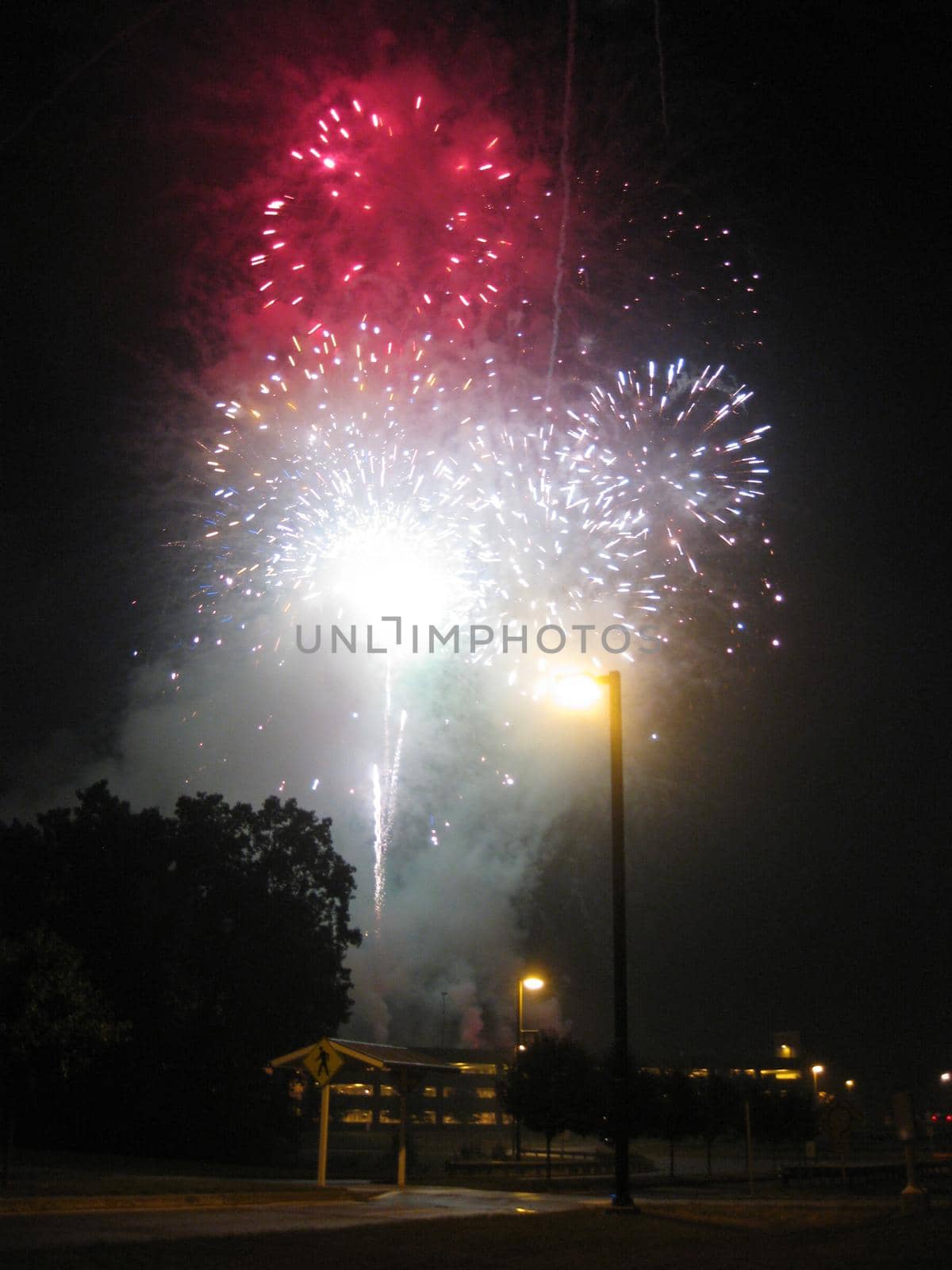 Image of White and red fireworks silhouette trees and a phone pole late at night