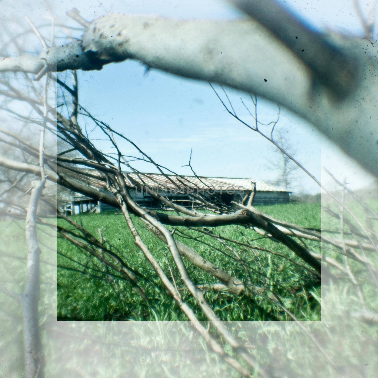 Image of A building visible through twigs with a transparent white frame