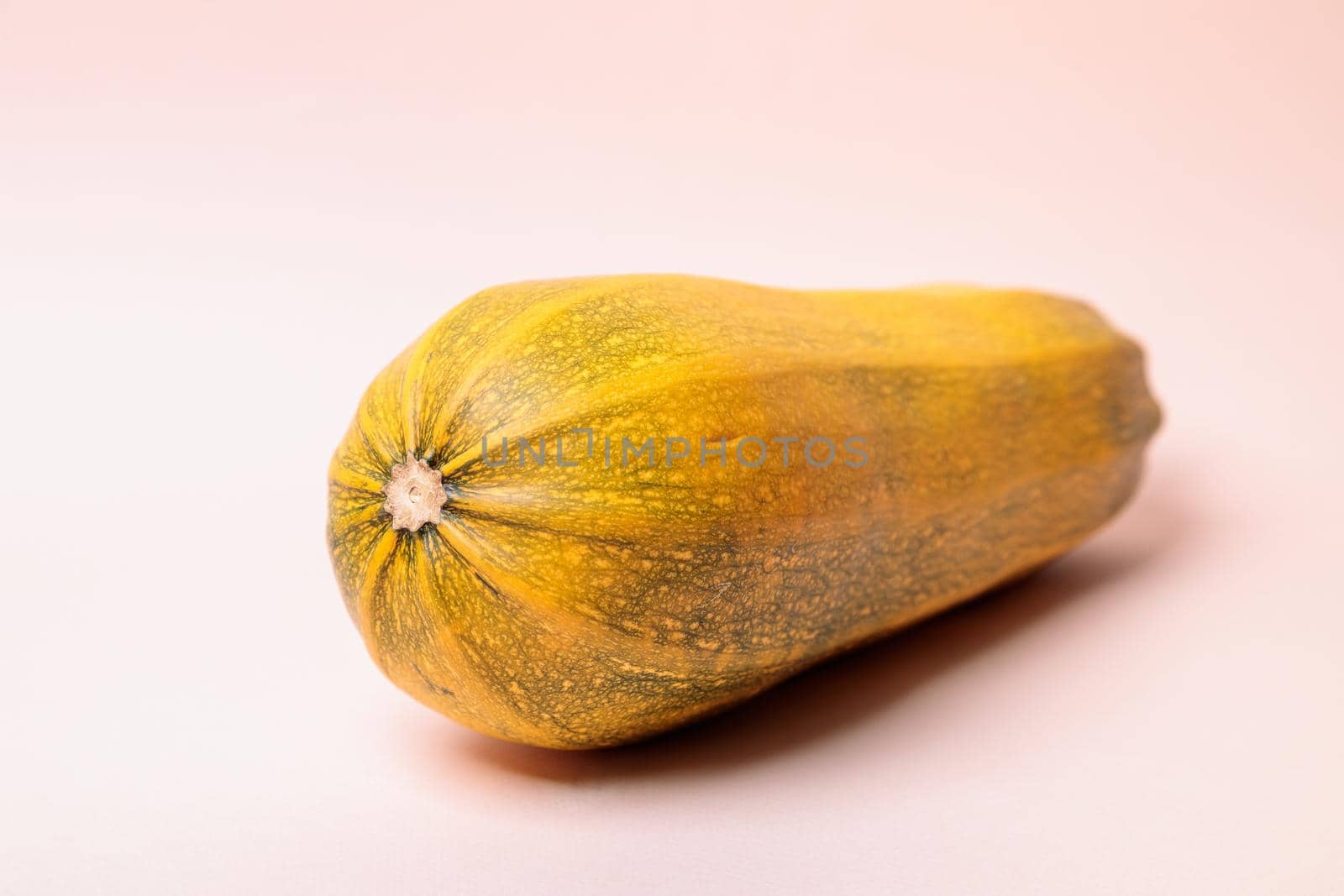 Yellow ripe zucchini on a pink background. Close-up.
