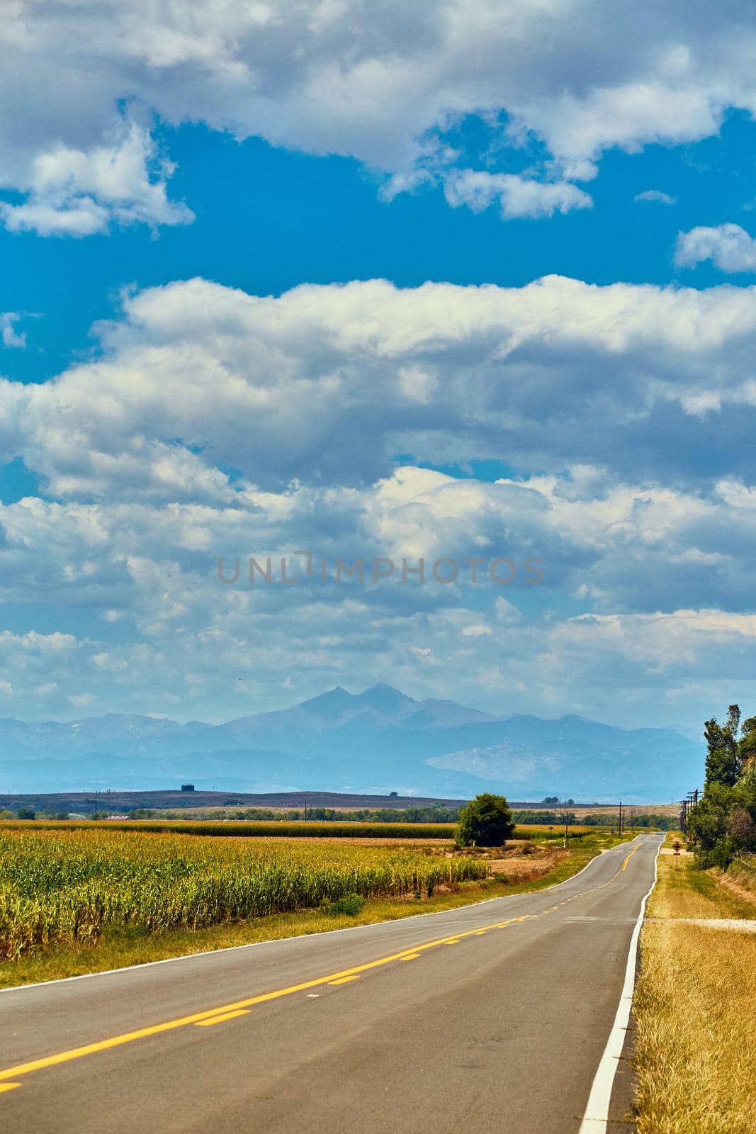 Road through the desert with mountains in the distance and white clouds by njproductions