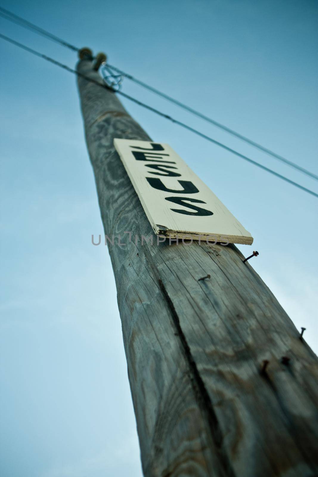 Image of Telephone pole with nails and a white sign with black letters that reads Jesus