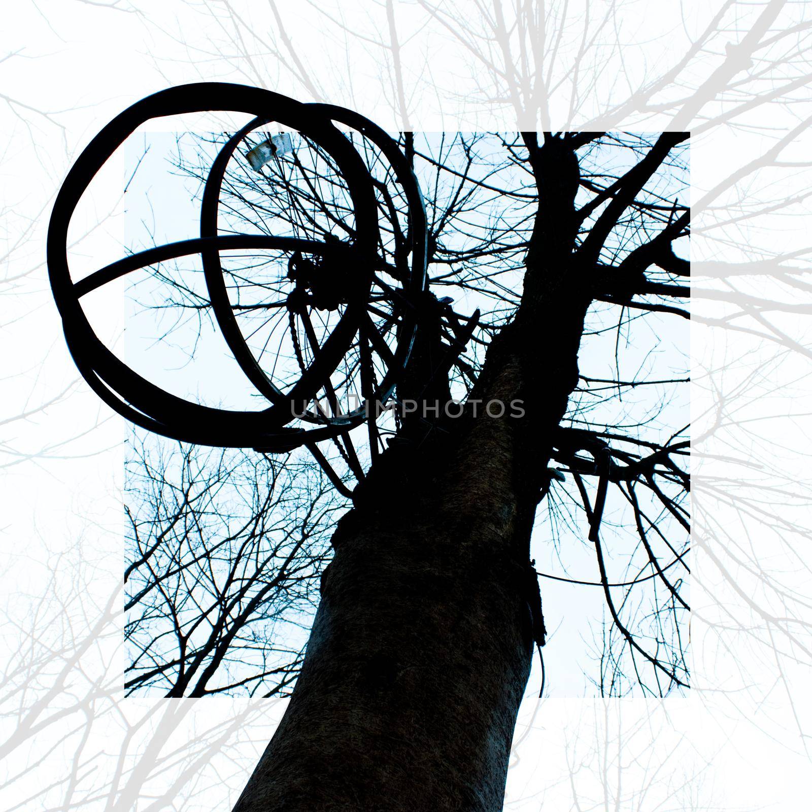 Silhouette of a tree with a hanging cage trap against a blue sky with a translucent white frame by njproductions