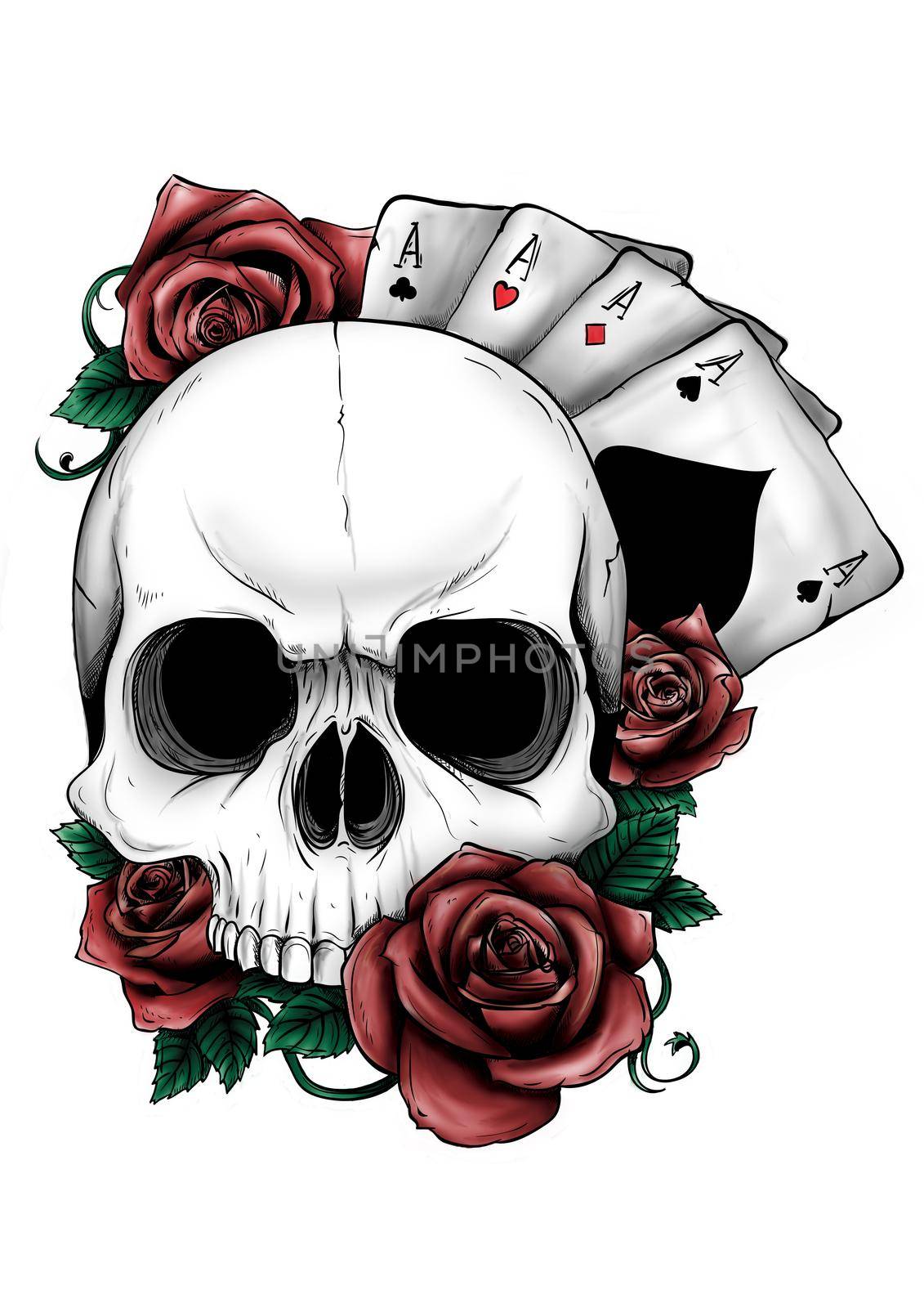 Skull with flowers, with roses. Drawing by hand. . Illustrator by dean