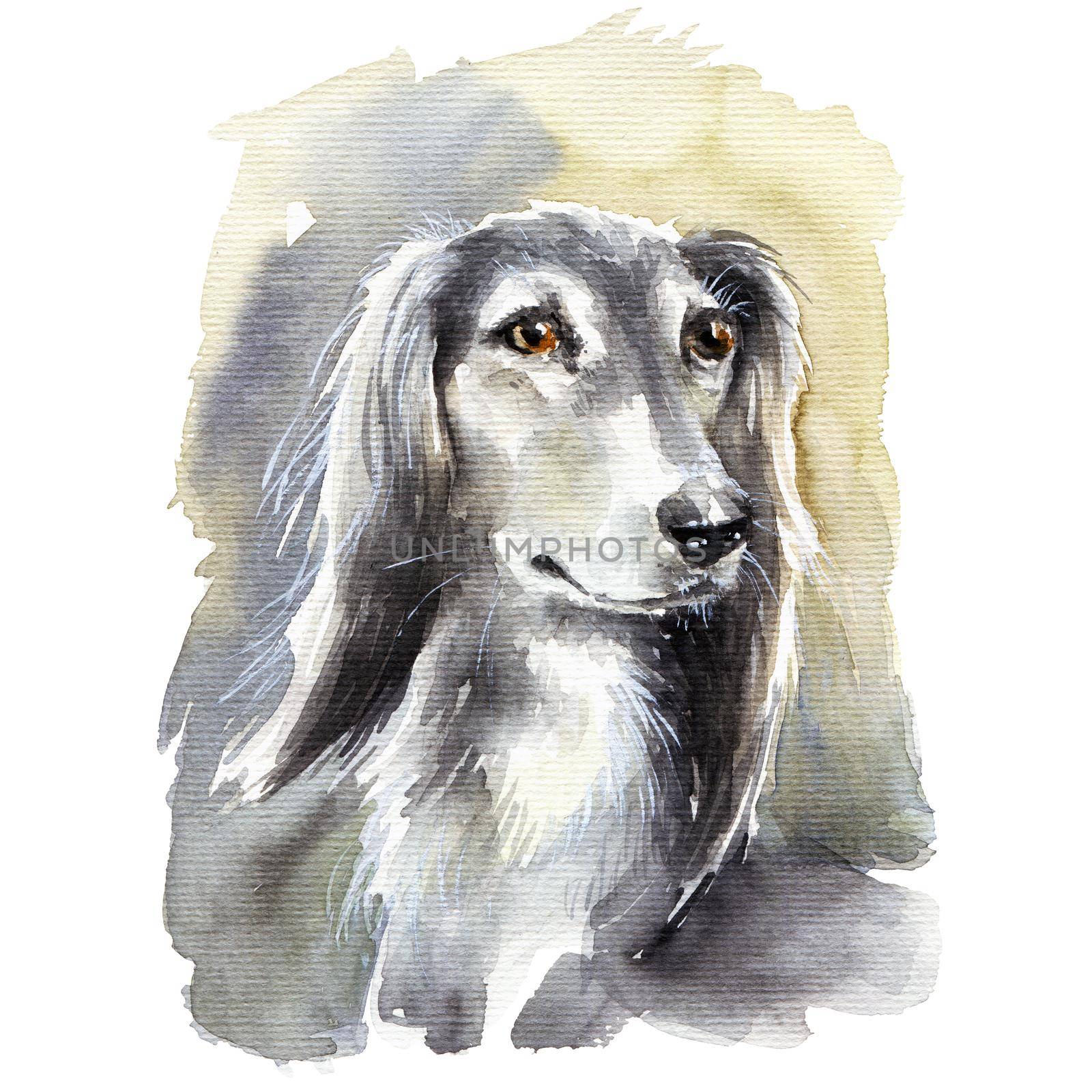 Watercolor illustration - portrait of greyhound dog, hand drawn sketch on white background