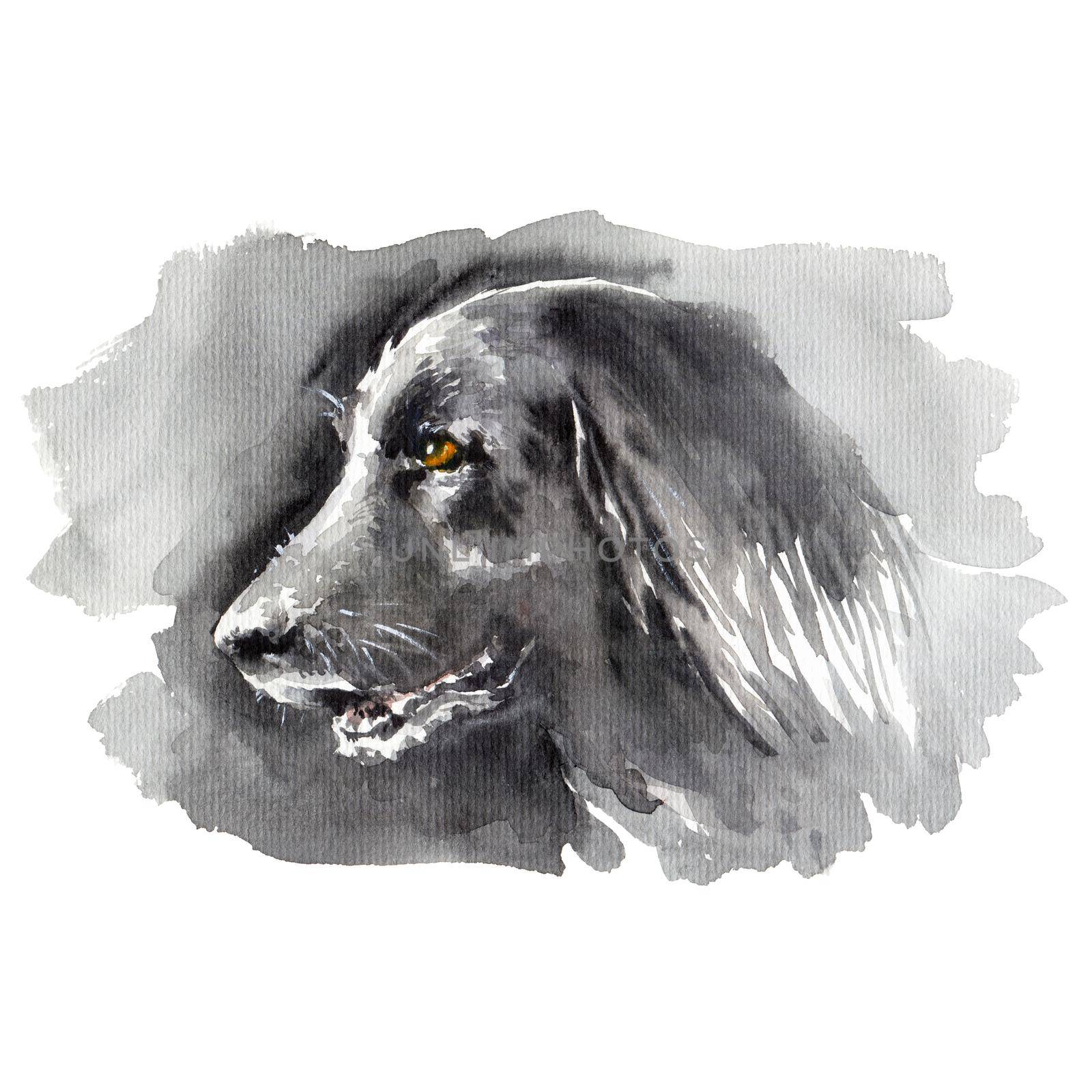 Watercolor portrait of black dog by Olatarakanova