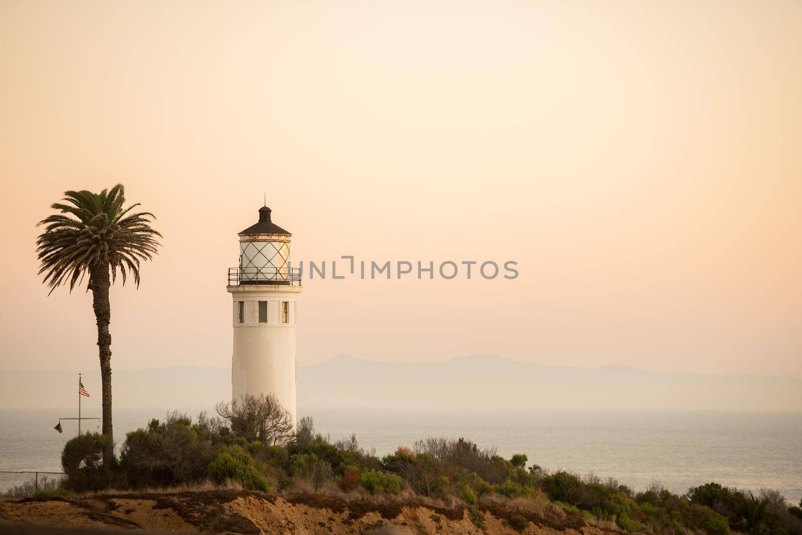 Light house and palm tree on a cliff close up by jyurinko