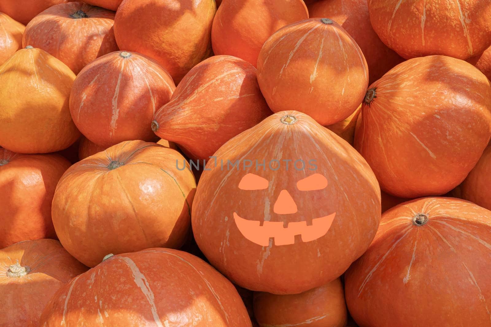 halloween pumpkin on a pile of pumpkins by roman112007