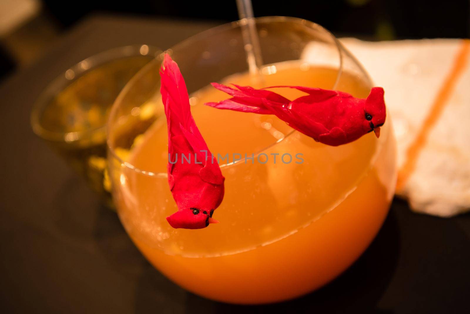 Orange citrus alcohol bowl with red cardinals. Close up by jyurinko