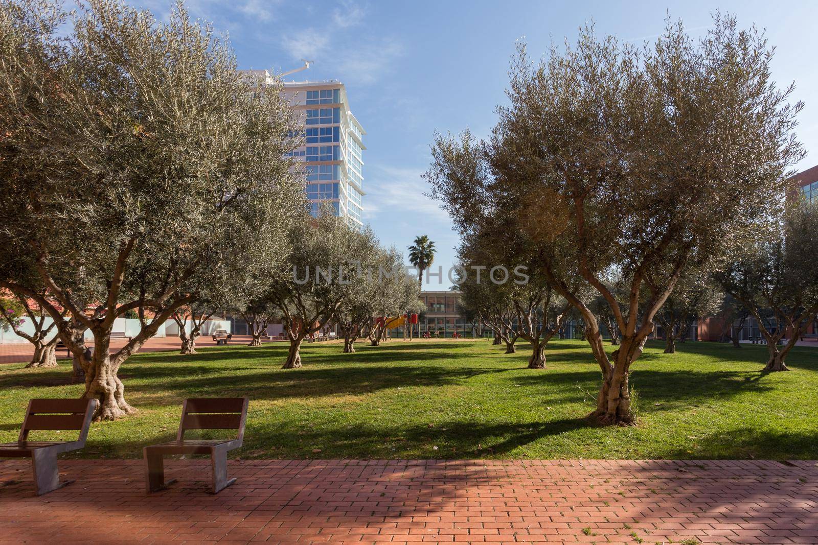 Beautiful green park with trees and benches in modern residential area next to the sea of Barcelona, Catalonia, Spain