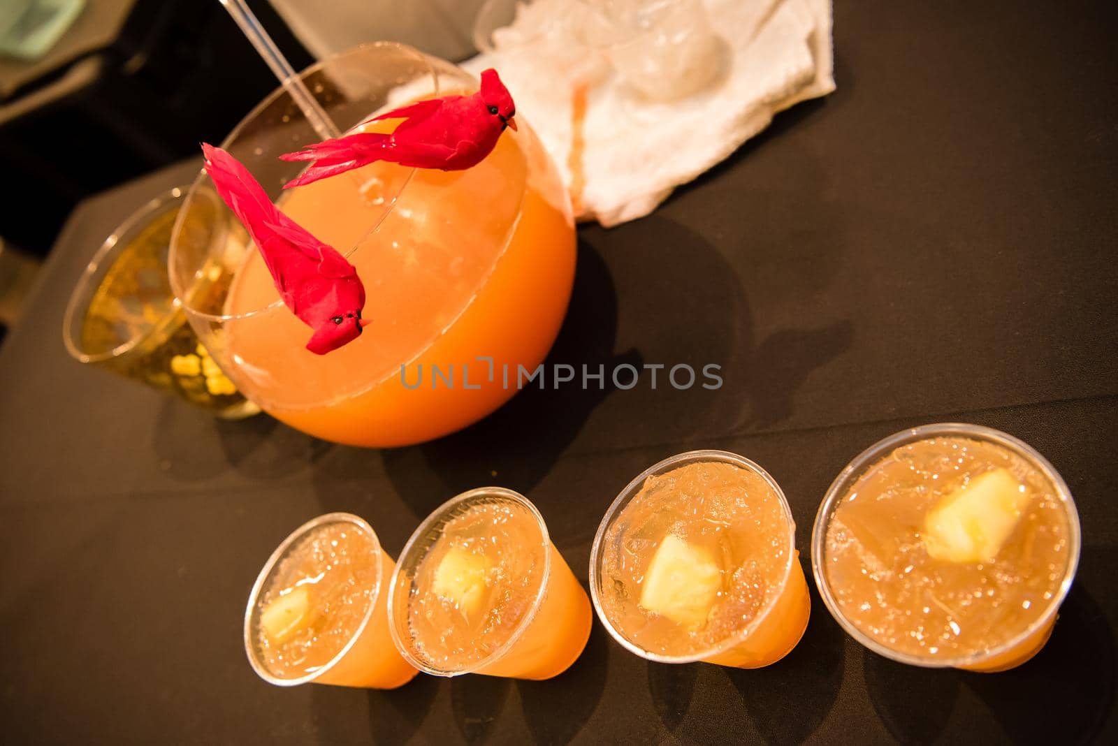 Orange citrus alcohol drinks with red cardinals sitting on the serving bowl. by jyurinko