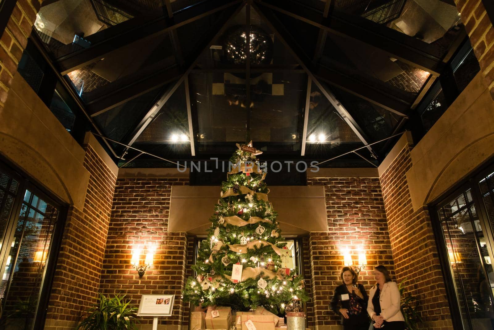 Glowing Christmas tree display with pretty architecture. Wide view by jyurinko