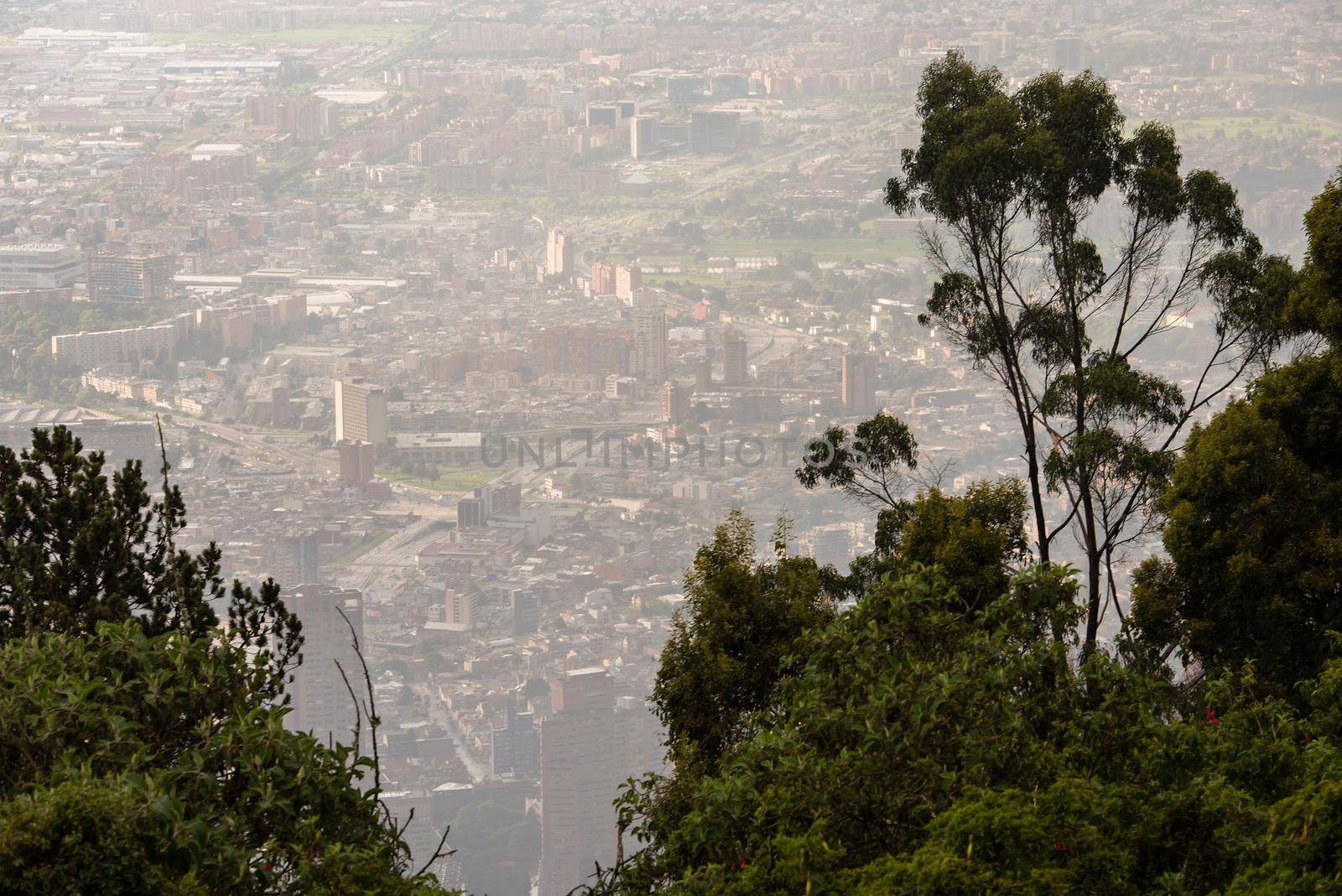 View through trees from the top of Mount Montserrate in Bogota Colombia.
