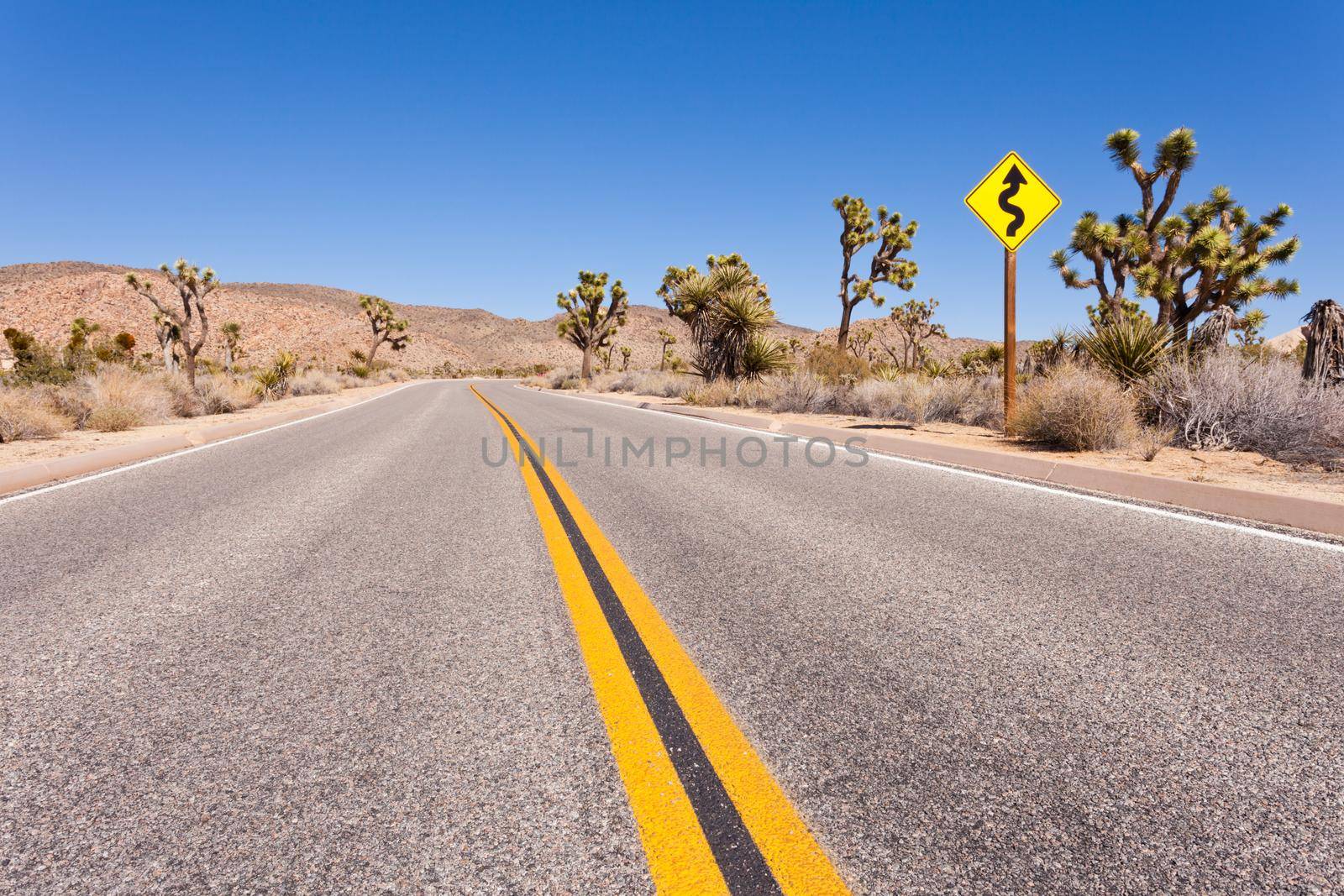 Joshua Tree National Park winding road sign by PiLens