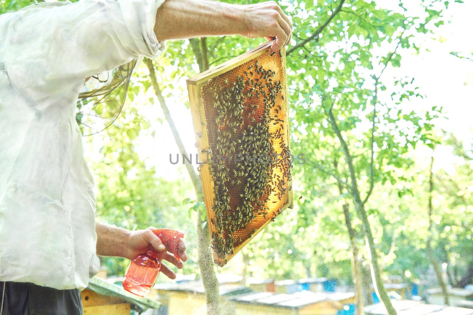 Low angle shot of a beekeeper spraying honeycomb working in his apiary.
