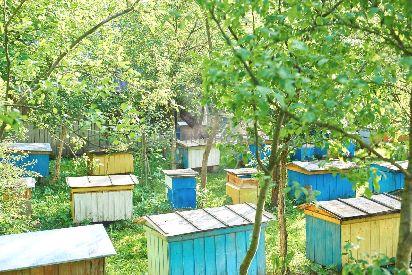 Shot of a garden with beehives farming natural production producing profession organic honey concept.