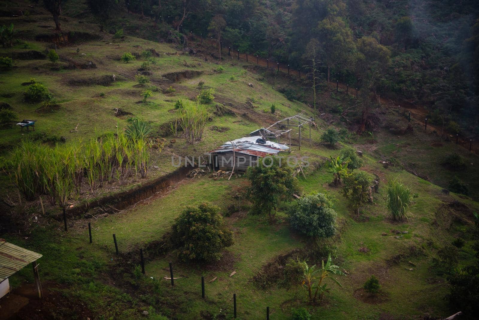 Aerial view of shack in Medellin, Colombia.