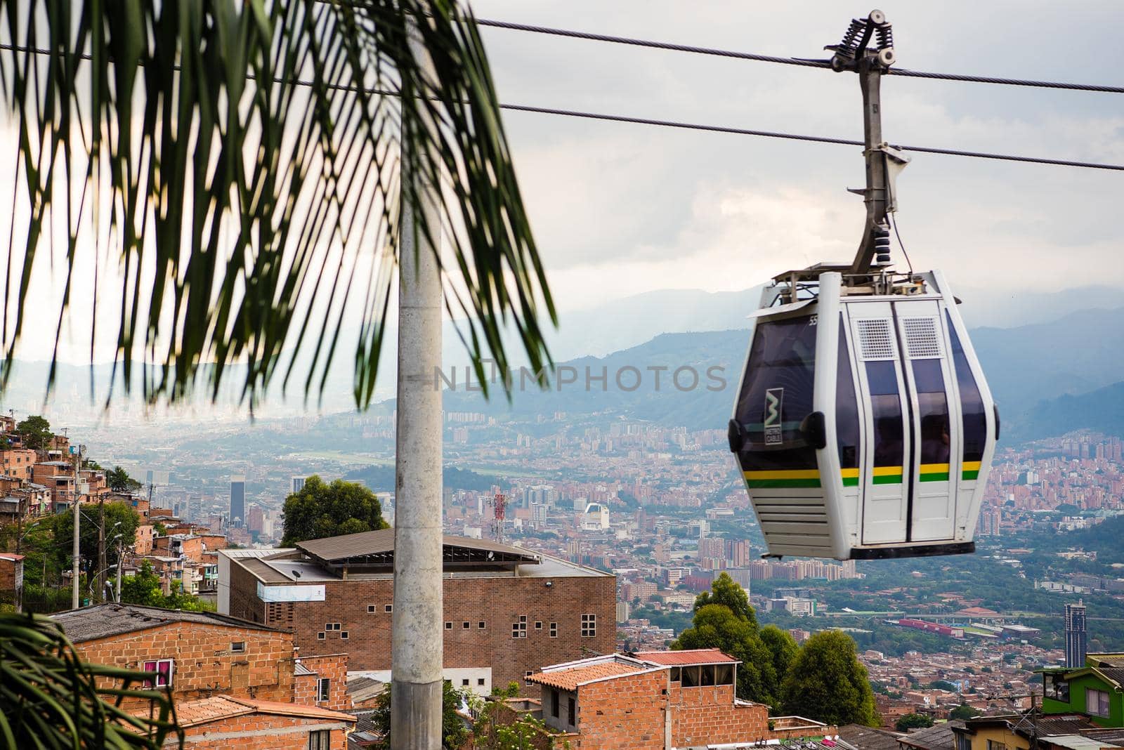 Cable car in transit in Medellin, Colombia. Palm tree in foreground