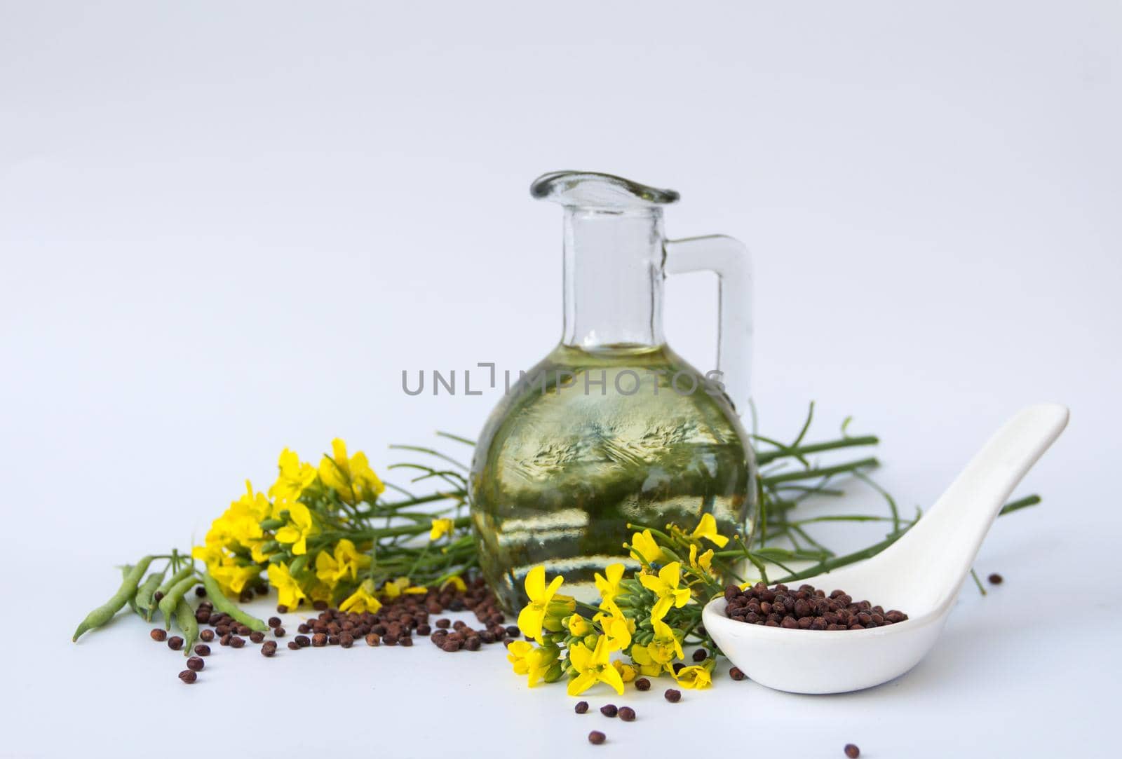 bottle rapeseed oil seeds and flowers on white background
