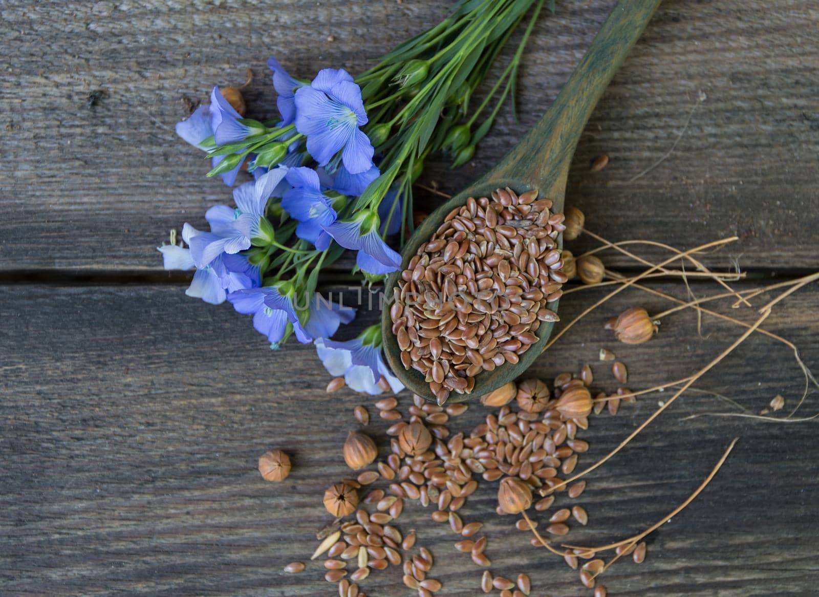 composition of flax flowers and suchara with seeds on rustic wooden background