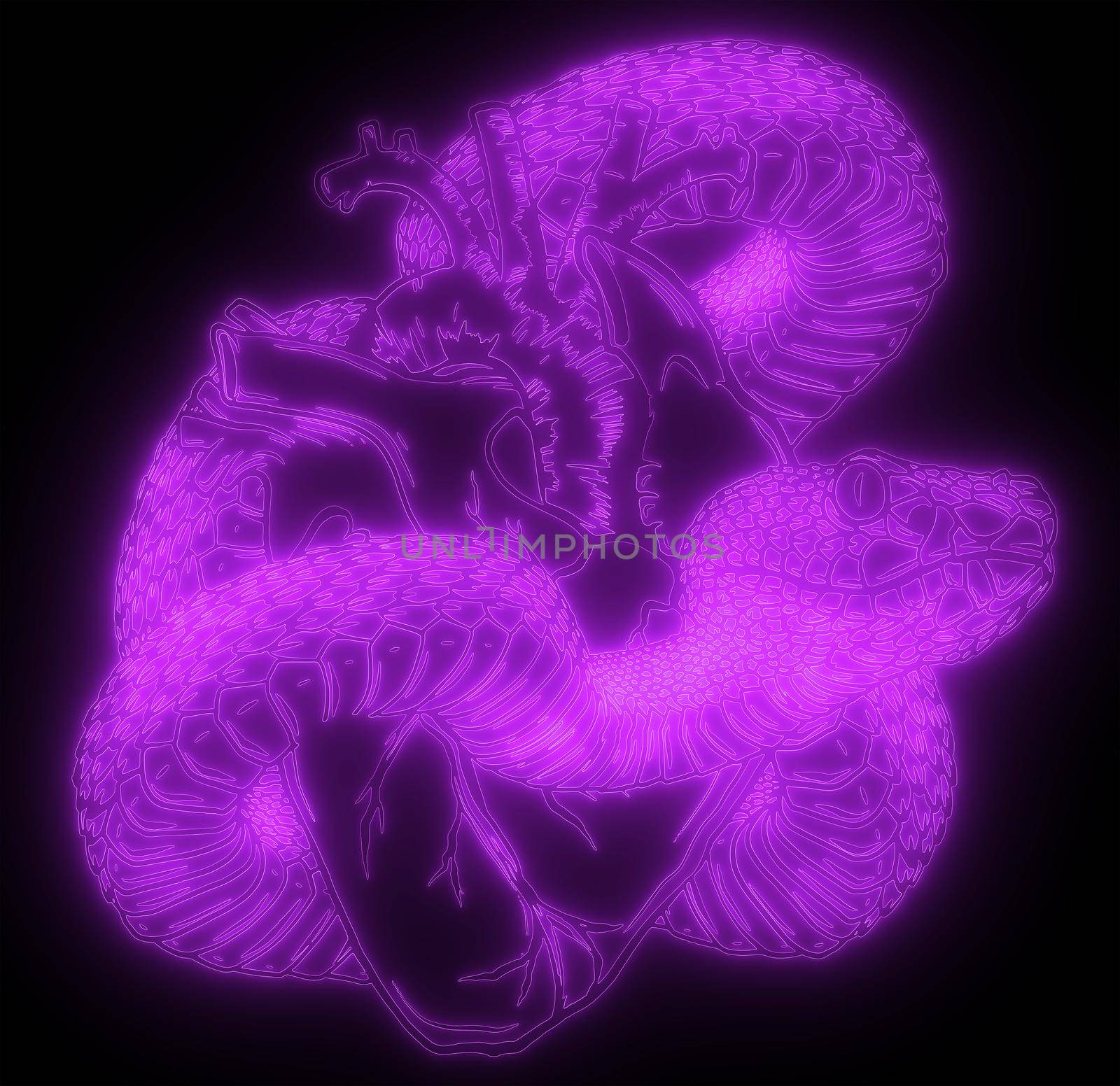 Snake and heart neon glow