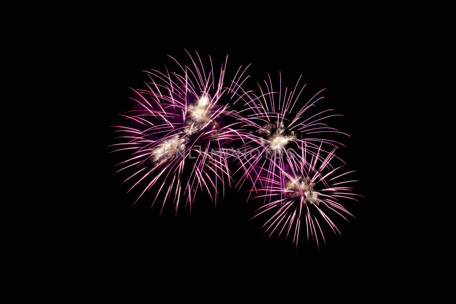 Many flashing colorful fireworks in event amazing with black background celebrate New Year, holiday and festival in night.