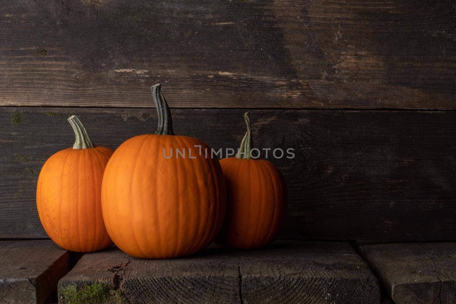 Three pumpkins on wooden background by Yellowj