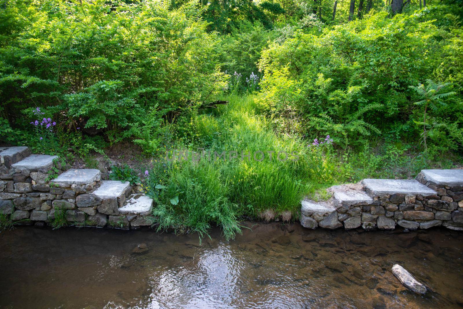 Double antique stone steps by green lush woodland descend to calm flowing stream. High quality photo