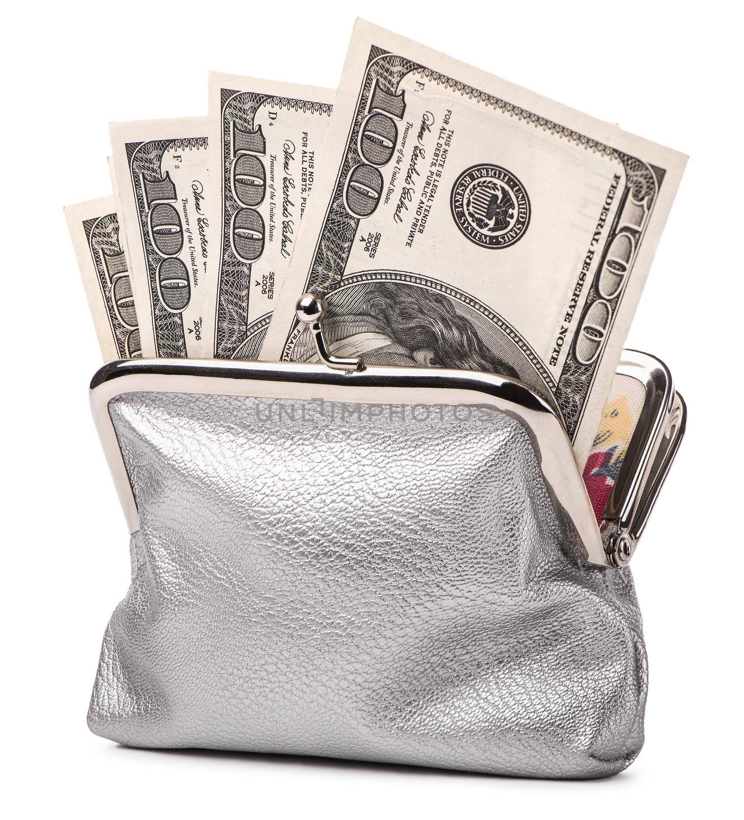 Silver purse and dollars by Givaga