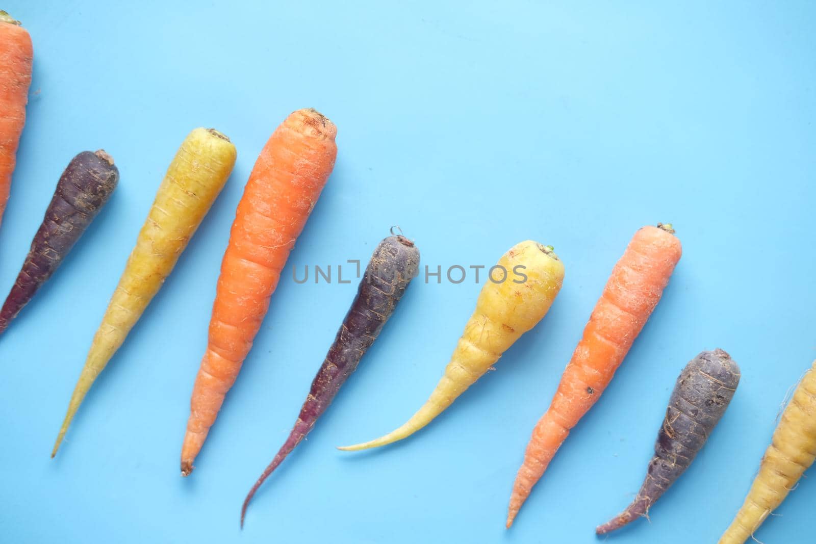 mixed colorful carrot on blue background by towfiq007