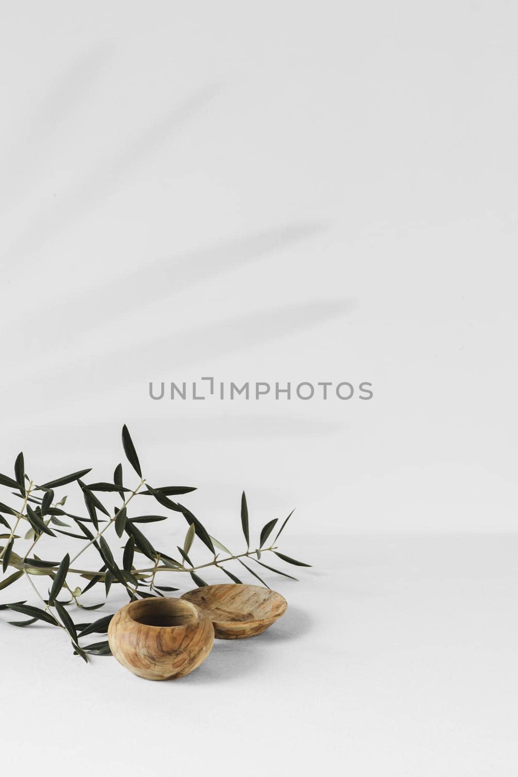 abstract minimal plant copy space. Resolution and high quality beautiful photo