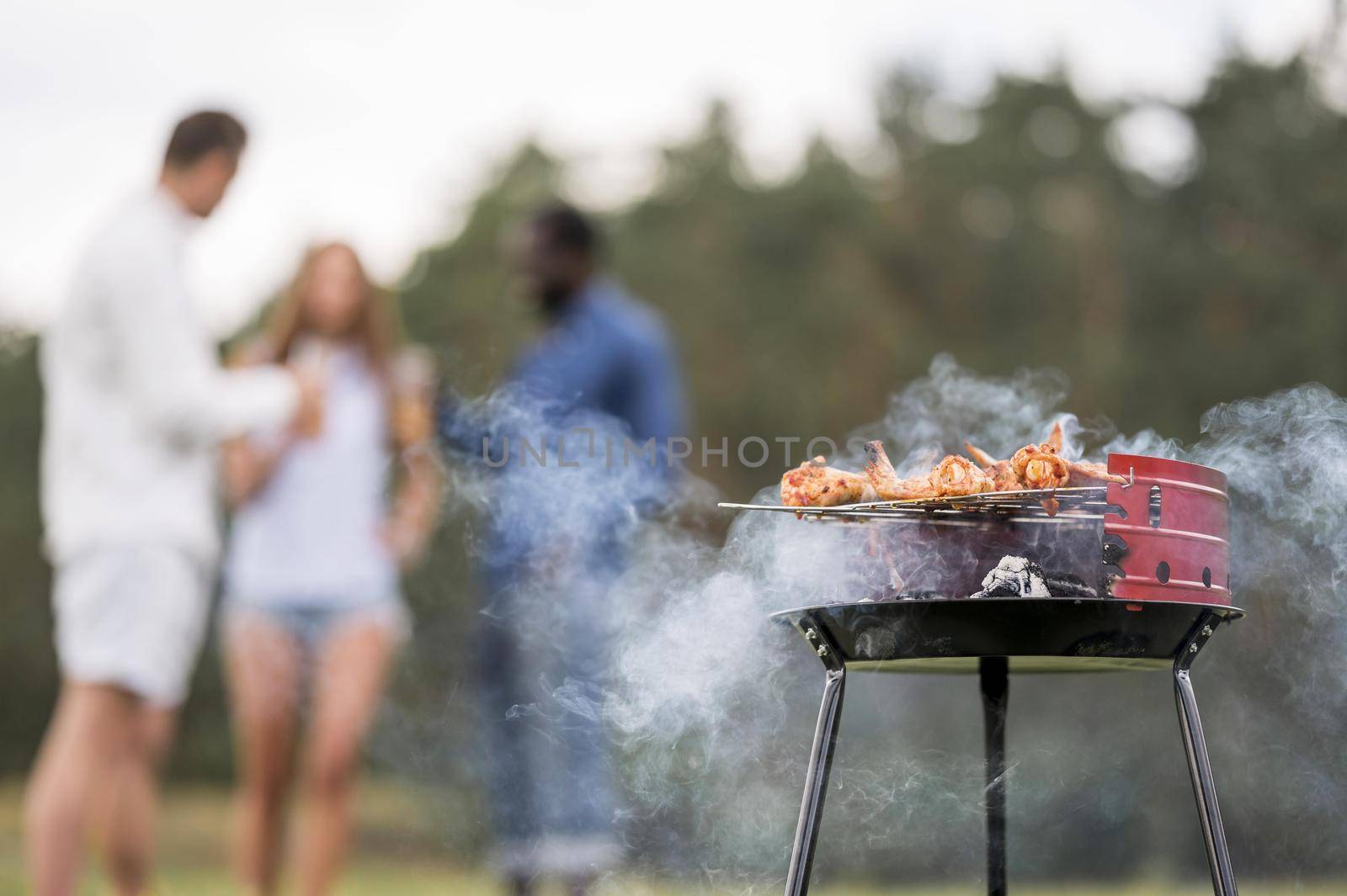 barbecue roasting food with friends conversing. Resolution and high quality beautiful photo