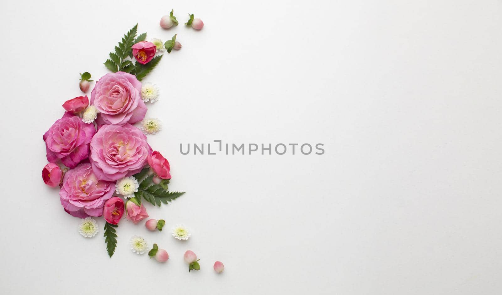 Copy space roses flowers Picture on pik. Resolution and high quality beautiful photo