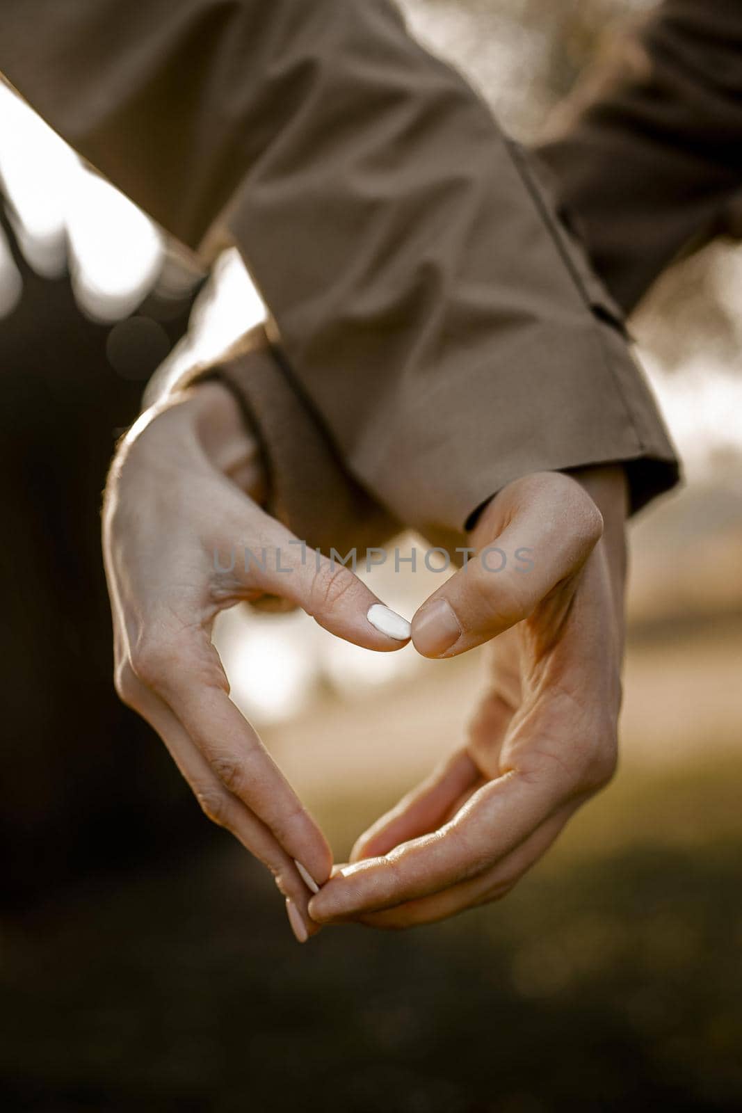 close up hands making heart shape. High quality beautiful photo concept by Zahard
