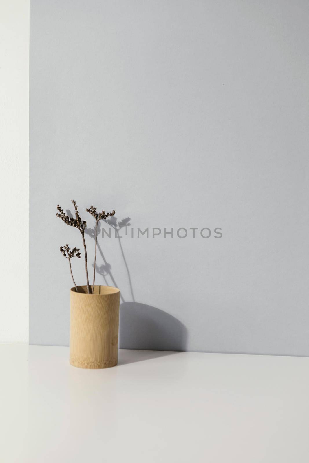 abstract minimal plant vase copy space. High quality beautiful photo concept by Zahard
