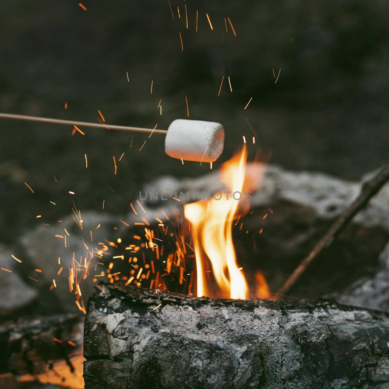 person burning marshmallows camp fire 2. High quality beautiful photo concept by Zahard
