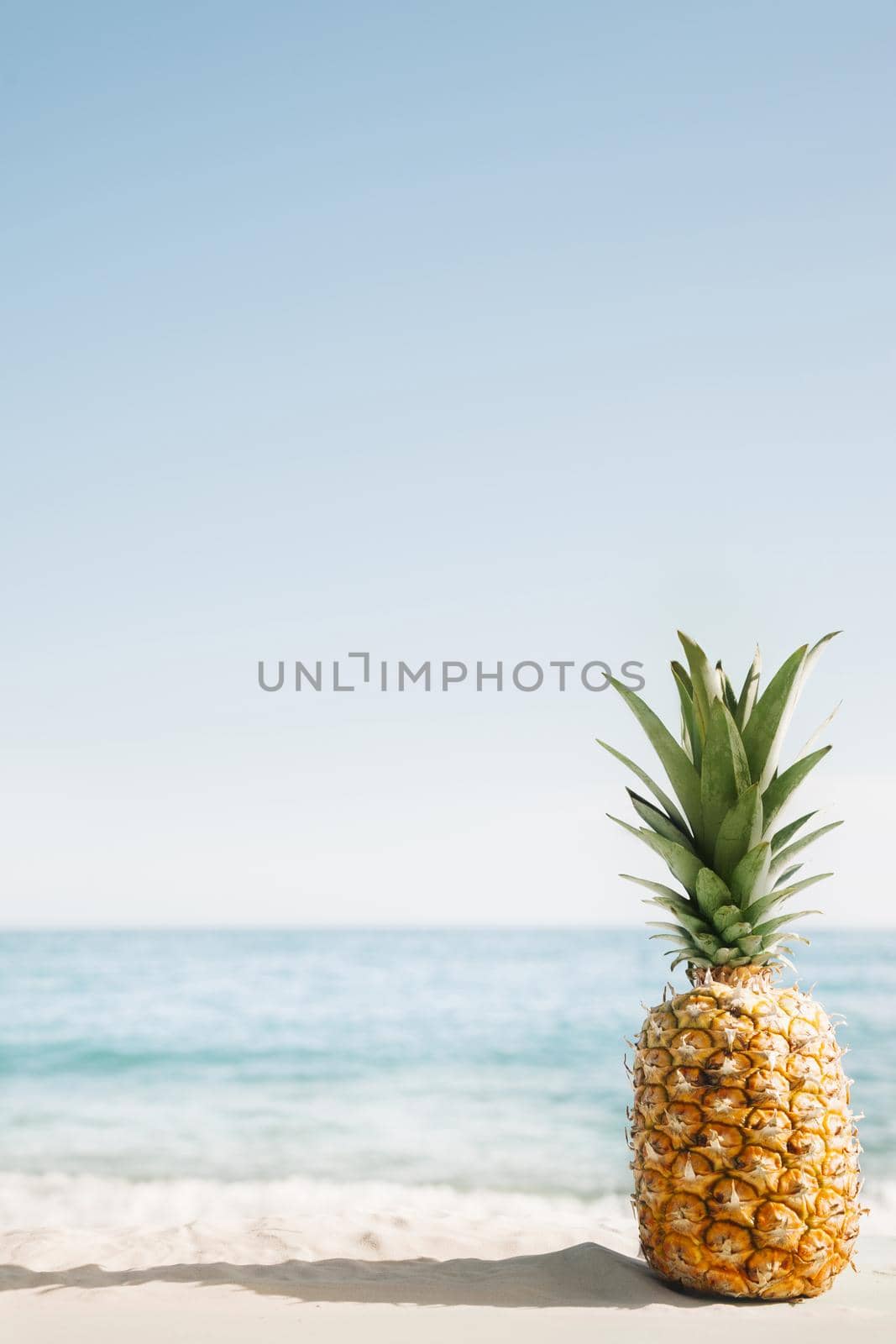 beach background with pineapple copyspace. High quality beautiful photo concept by Zahard