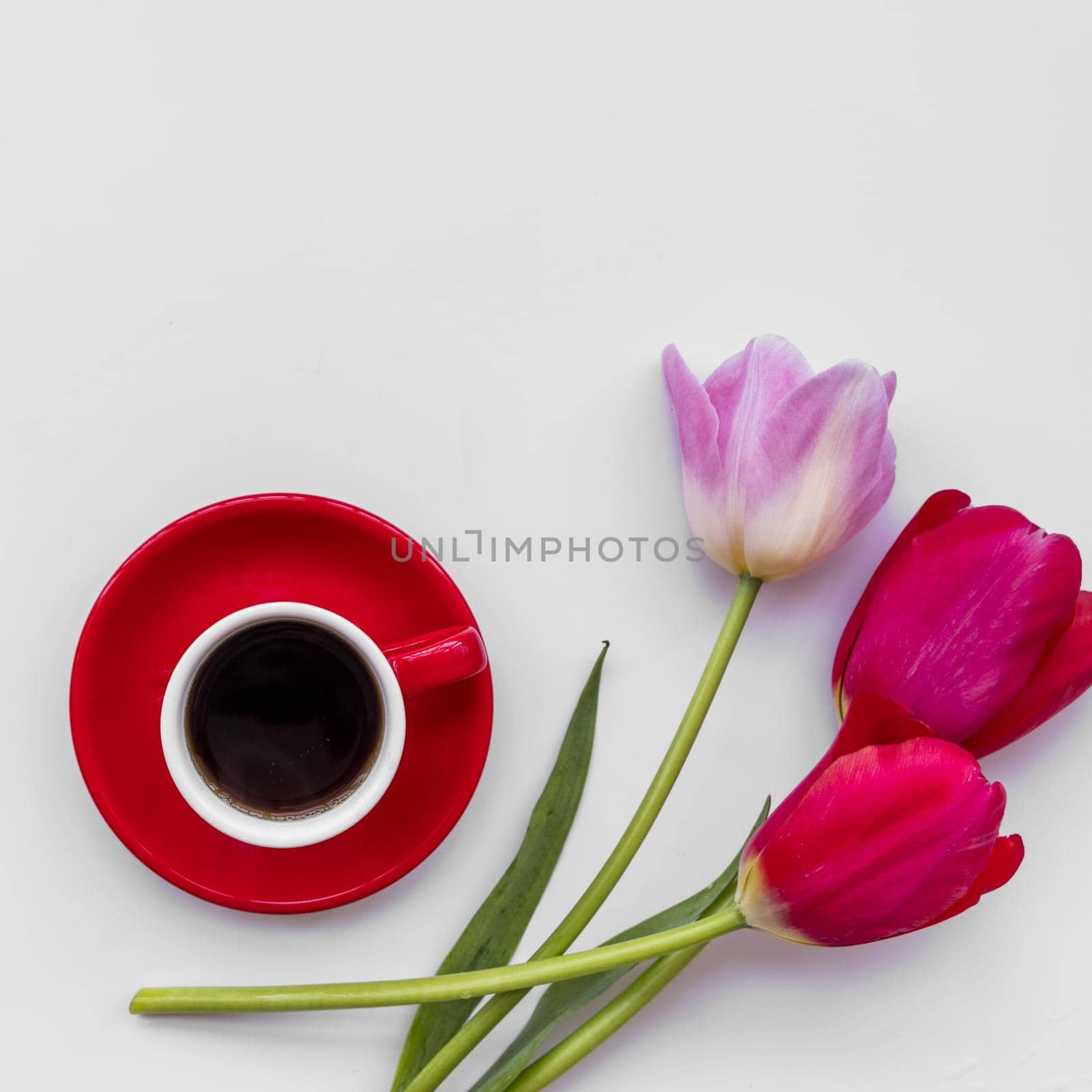 bunch fresh flowers near cup coffee. Resolution and high quality beautiful photo