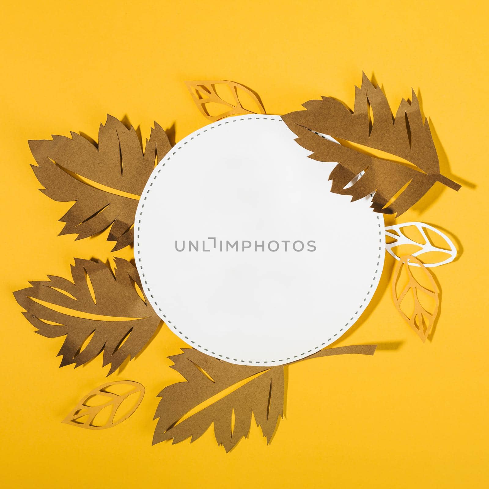autumnal composition paper. Resolution and high quality beautiful photo