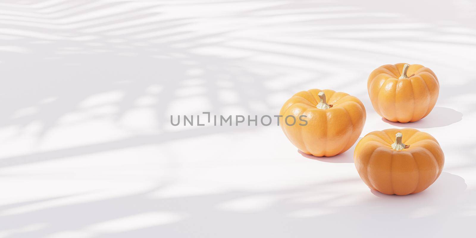 Pumpkins on white background for advertising on autumn holidays or sales, 3d banner render by Frostroomhead