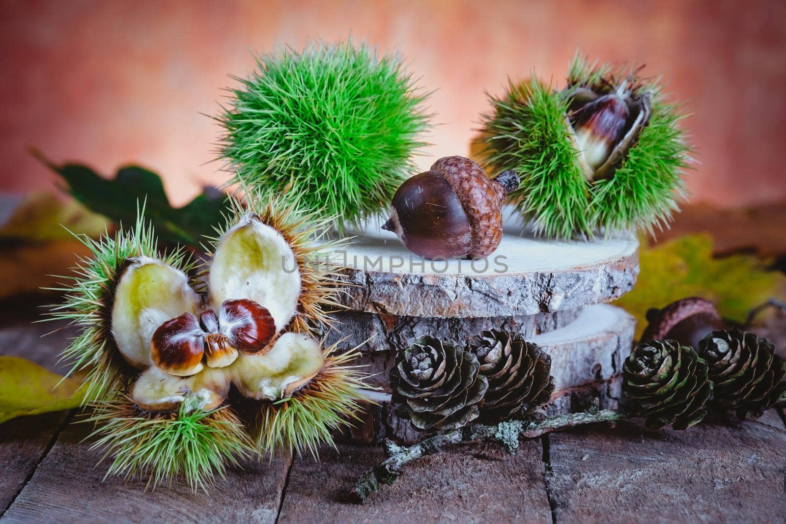 Festive autumn decor from chestnuts, acorn, berries and leaves. Postcard concept. Autumn gifts.