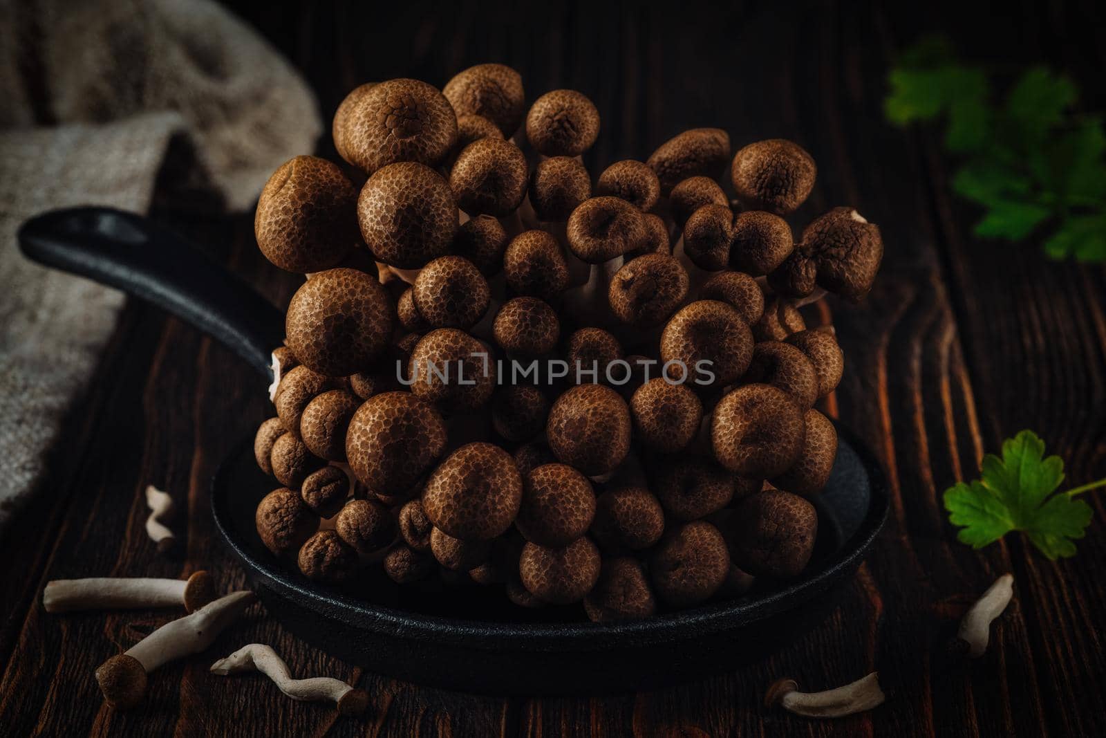 Brown Shimeji mushroom on wooden background. by Fischeron