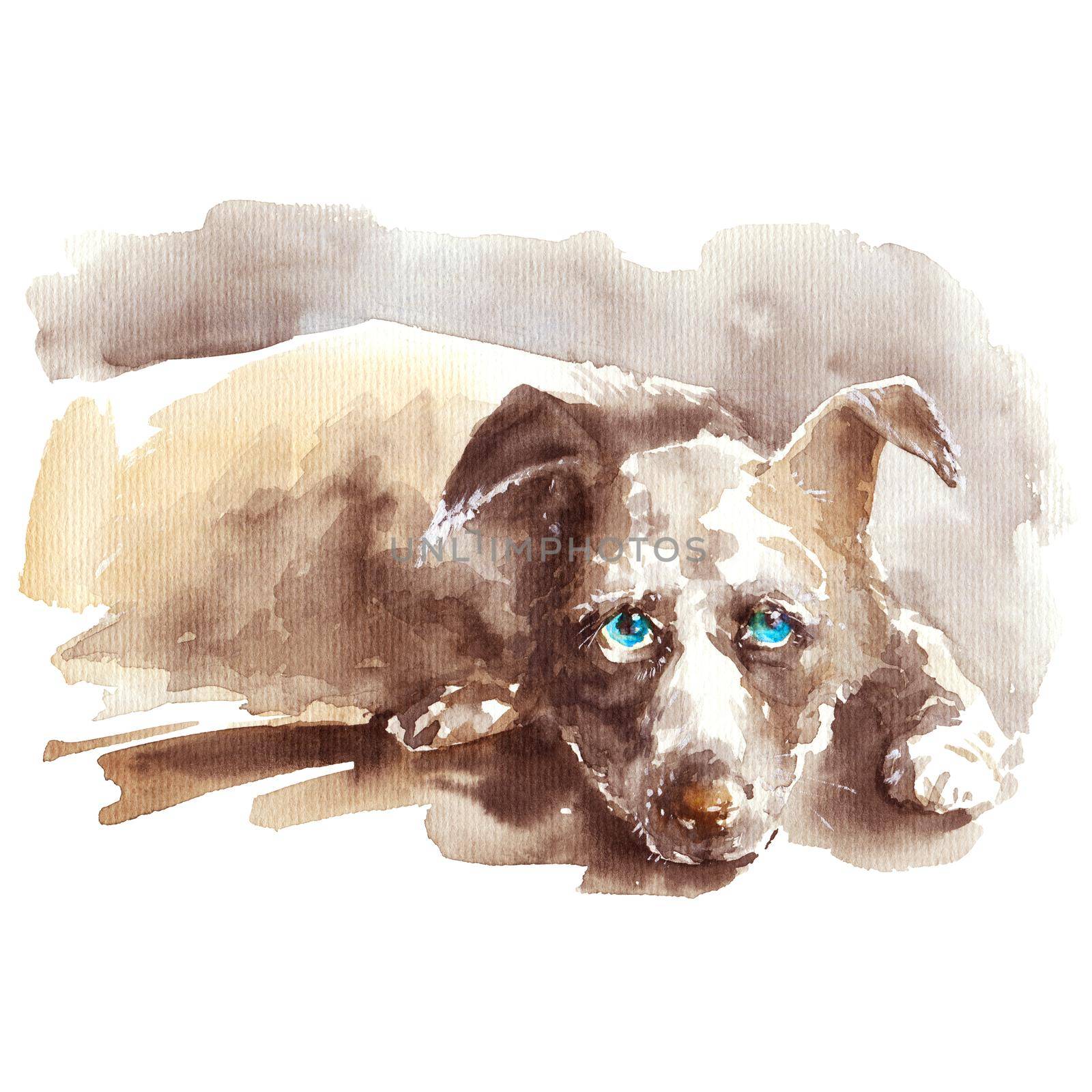 Watercolor illustration - portrait of lying dog with blight blue eyes, hand drawn sketch on white background