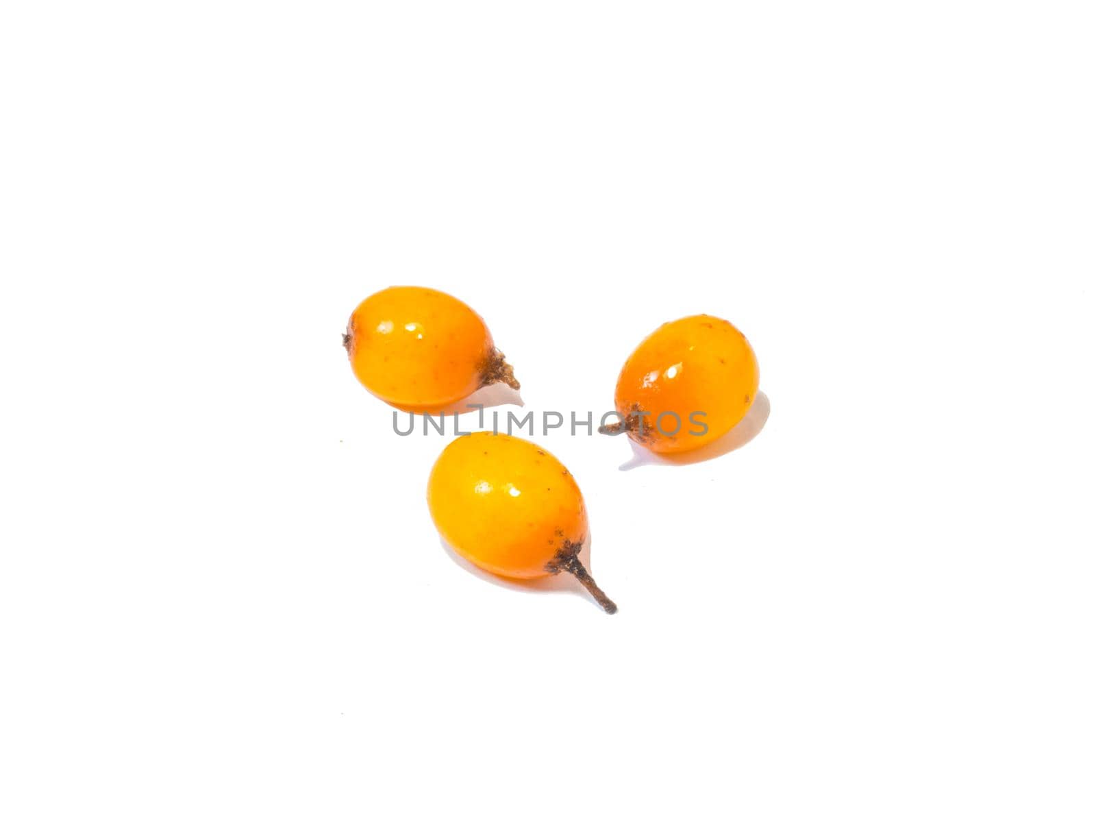 sea ​​buckthorn on a white background. Useful berry