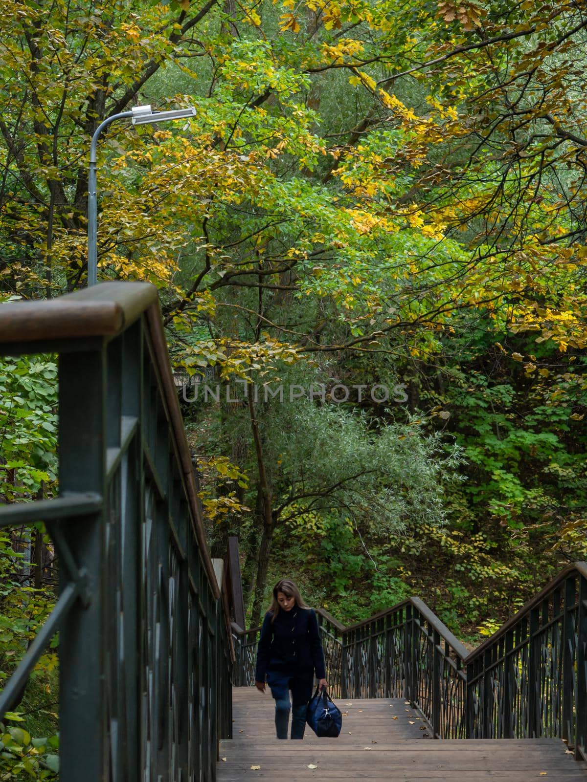 Walk across the bridge over the stream in the forest by Puludi